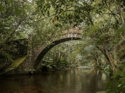 Galicia honda y hermosa
