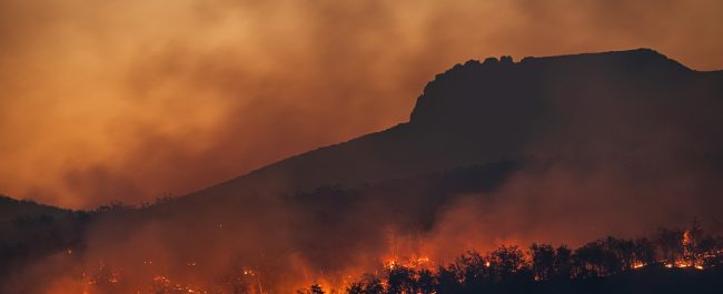 El fuego