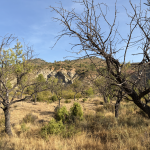 Los Ceñajos