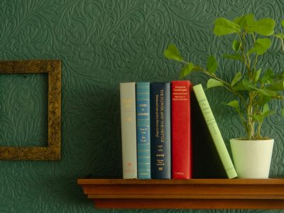 Manual de taxidermia del objeto libro