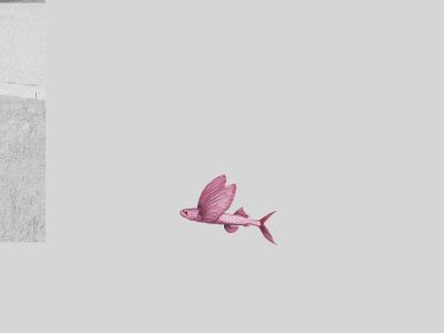 5 poemas de Agua sin voz, de Ana Meucci