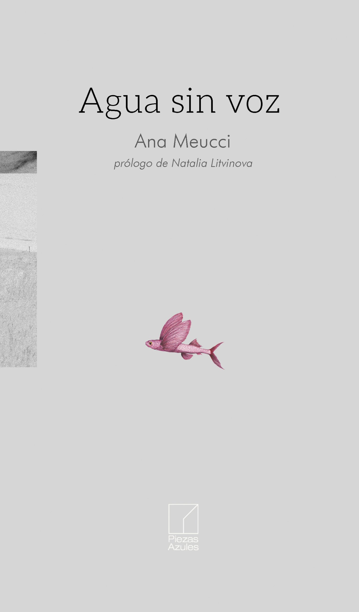 5 poemas de Agua sin voz, de Ana Meucci