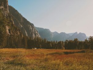 La semana en Zenda, en 10 tuits