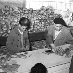 15 de septiembre de 1936: Las colas