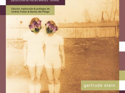 Gertrude Stein: usar, abusar, adorar, reemplazar