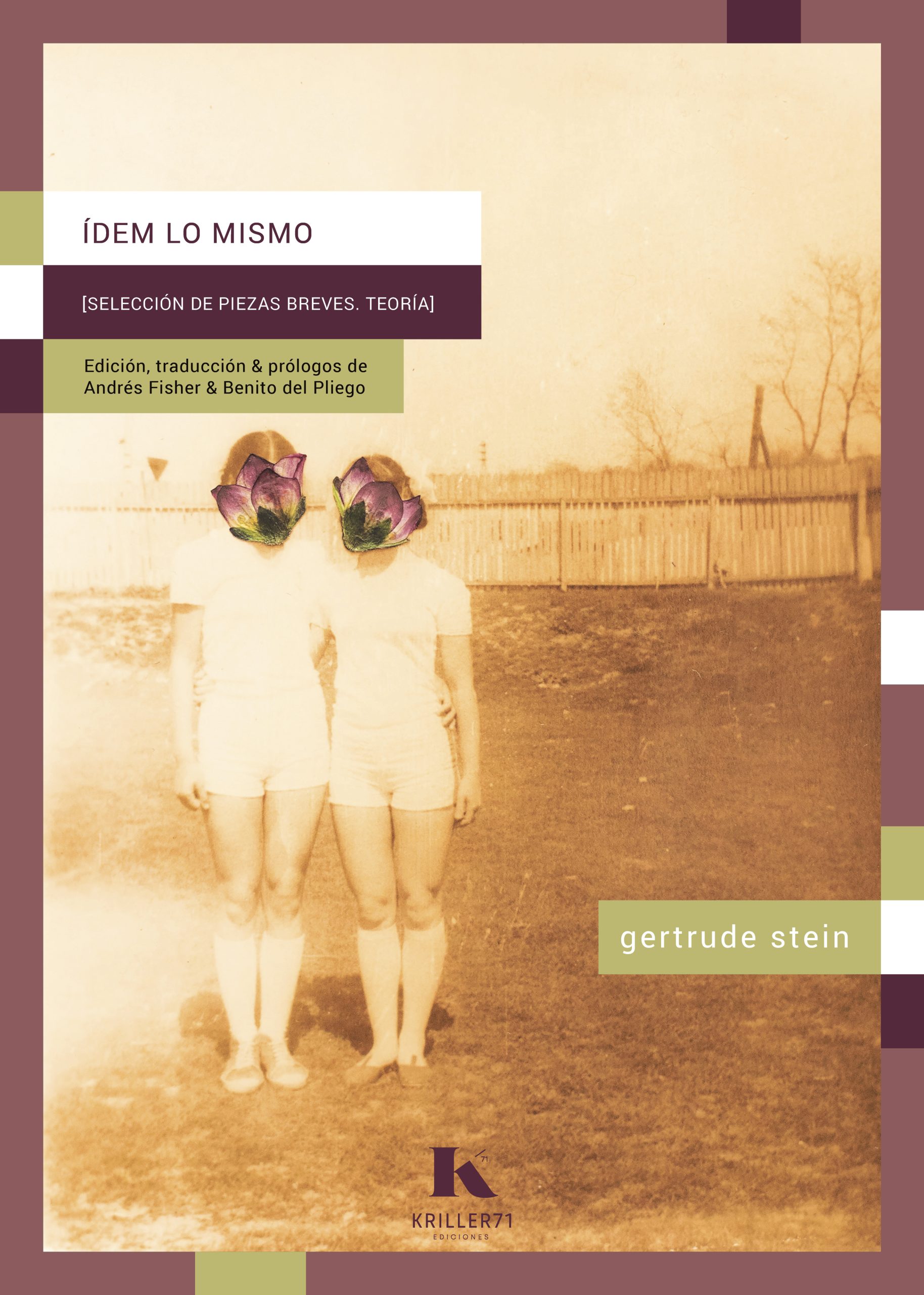 Gertrude Stein: usar, abusar, adorar, reemplazar