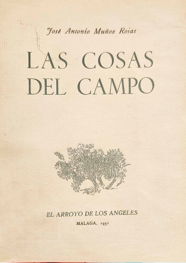 Tierra eterna