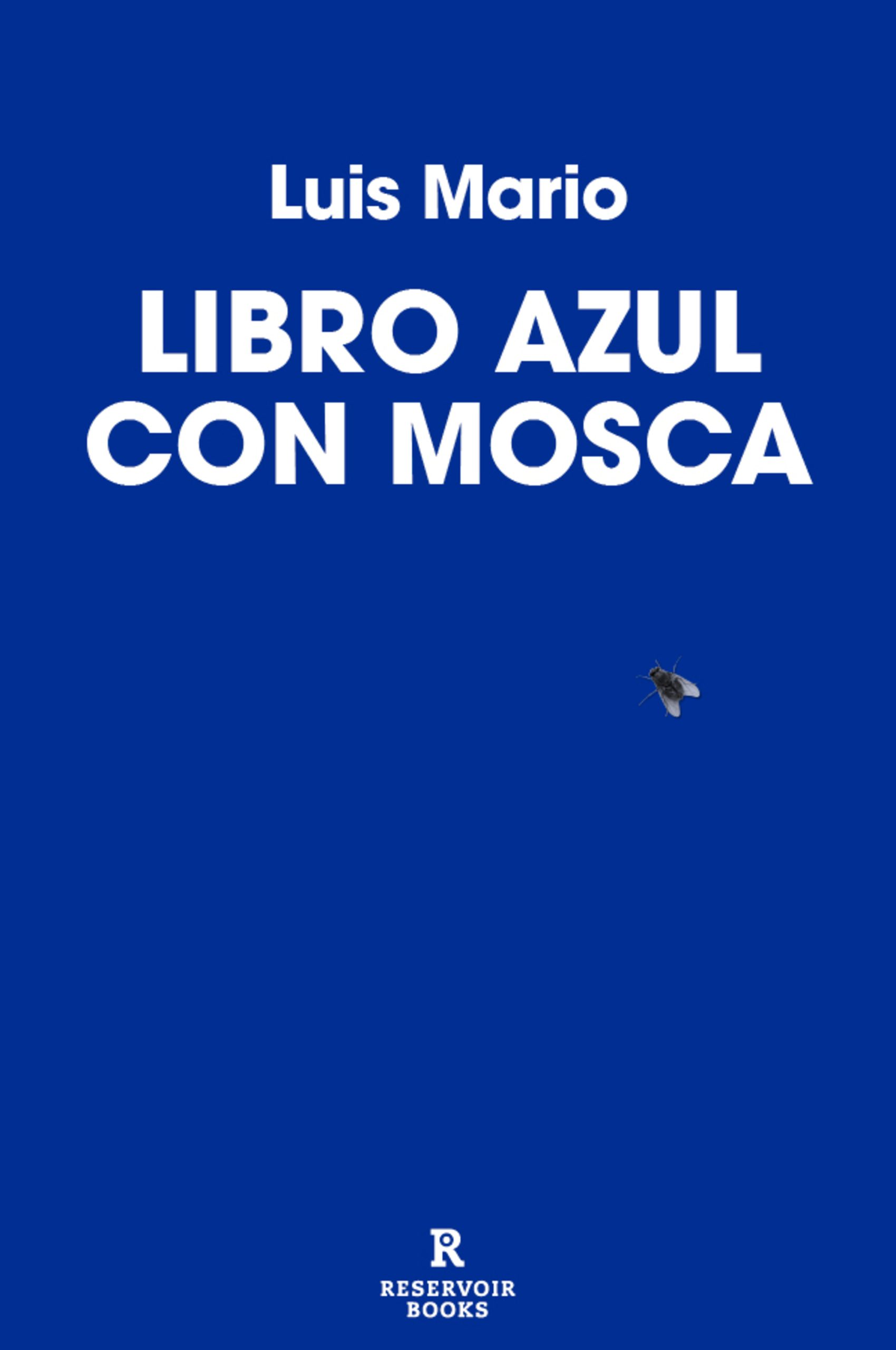 Libro azul con mosca