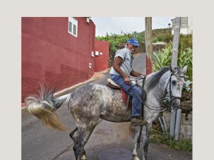 Un caballo blanco con un fisquito pintorriadito namás apenas