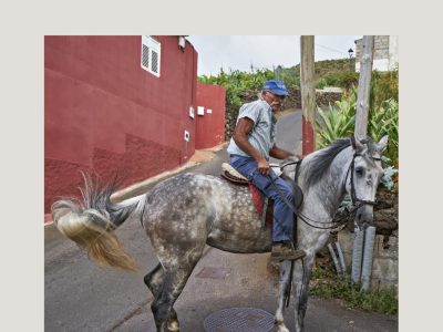 Un caballo blanco con un fisquito pintorriadito namás apenas