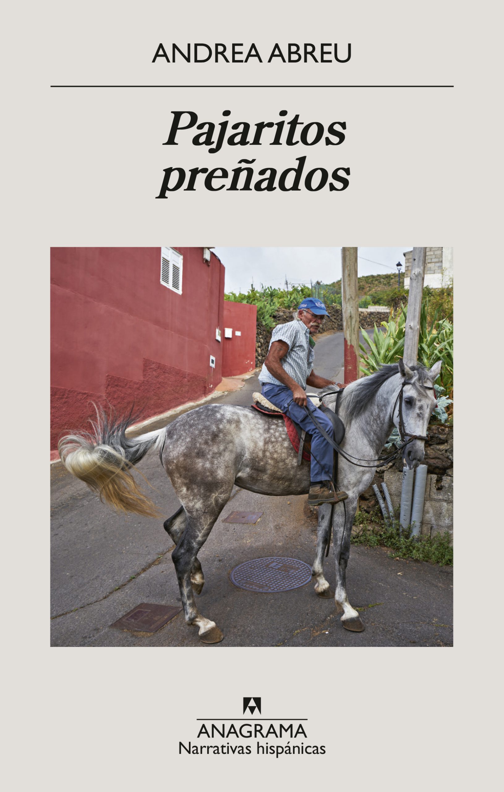 Un caballo blanco con un fisquito pintorriadito namás apenas