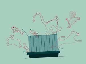 ¿Por qué escribir un libro sobre experimentación en animales?