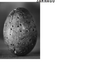 Sarnago, de Ramón Siscart