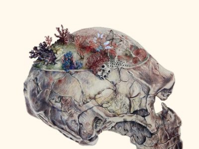 Una historia natural de monstruos y fantasmas