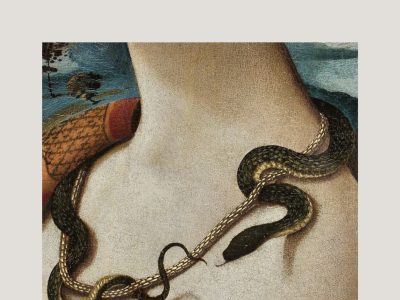 Zenda recomienda: El año de la serpiente, de Camila Fabbri