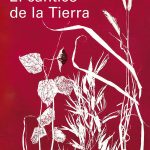 Hermano Sol, hermana Luna, hermana Tierra