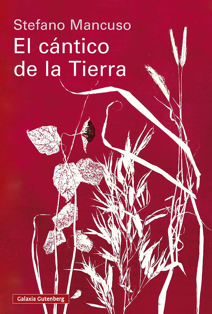 Hermano Sol, hermana Luna, hermana Tierra