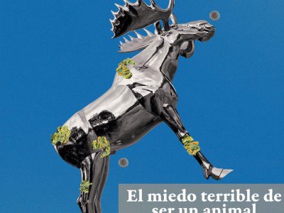 Fe, pensamiento mágico, cafeína y poesía