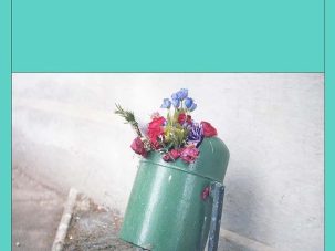 Los tontos, de Joan Silber