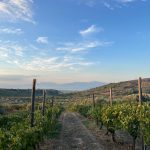 La Antigua Corinto, una mesa abierta al Mediterráneo