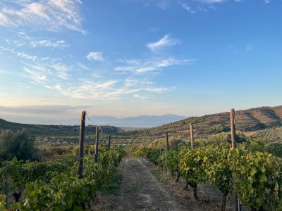 La Antigua Corinto, una mesa abierta al Mediterráneo