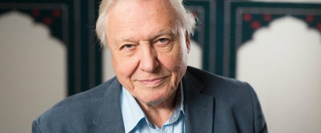 Attenborough, Wilson y la naturaleza