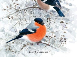 Zenda recomienda: Aves que veo en invierno, de Lars Jonsson