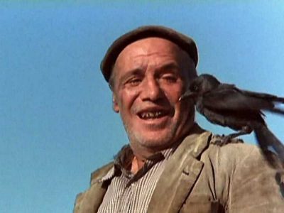 Los personajes de Miguel Delibes en el cine