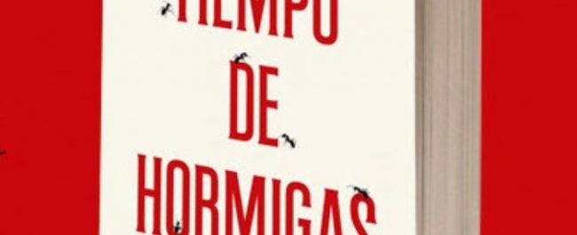 Tiempo de hormigas