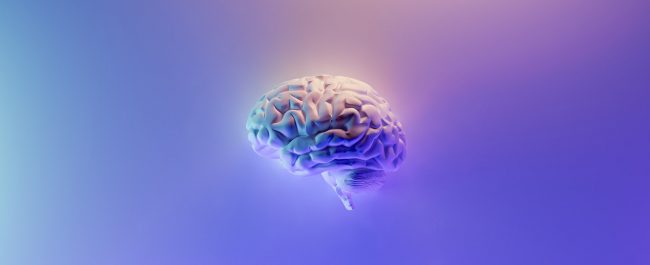 La gran incógnita del cerebro