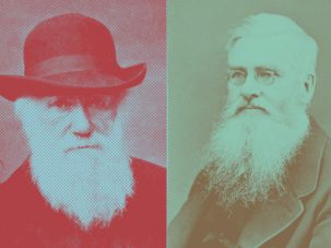 Darwin, Wallace y la igualdad de oportunidades