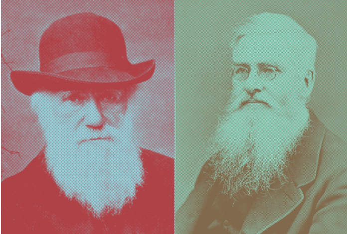 Darwin, Wallace y la igualdad de oportunidades