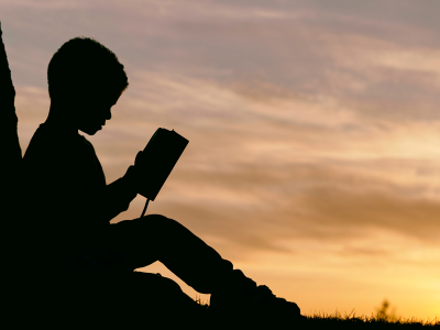 La semana en Zenda, en 10 tuits