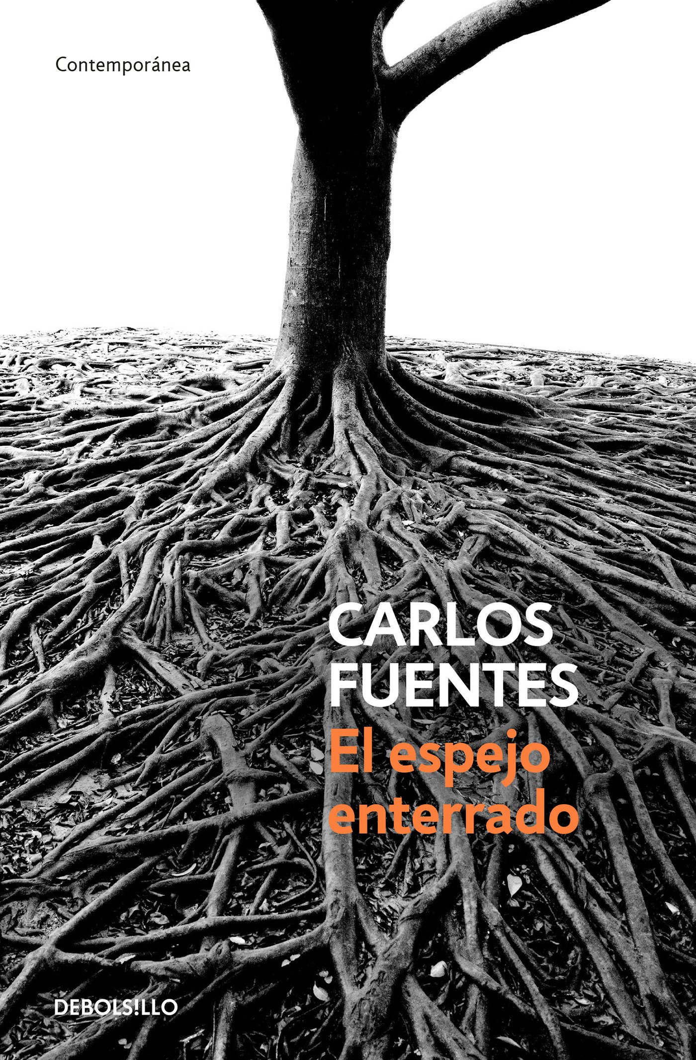 Zenda recomienda: El espejo enterrado, de Carlos Fuentes
