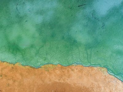 Los libros que devoraron a mi hija