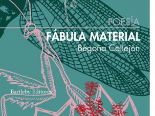 Zenda recomienda: Fábula material, de Begoña Callejón