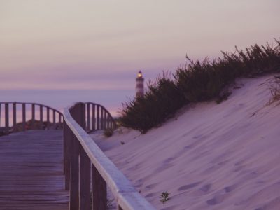 La semana en Zenda, en 10 tuits