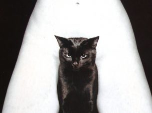 El enigma del gato negro