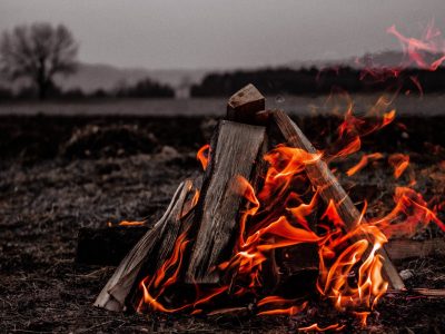 La semana en Zenda, en 10 tuits