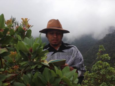 Ferias del libro virtuales