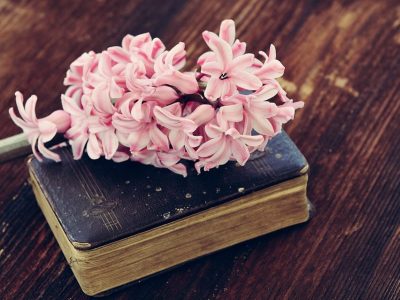 Doce libros de marzo