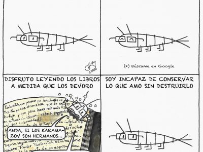 Lepisma Saccharina vs Marie Kondo