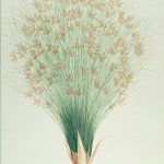 El nacimiento del aire escrito