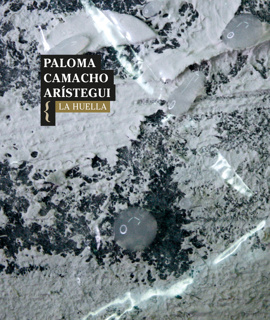 5 poemas de «La huella», de Paloma Camacho Arístegui