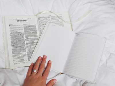 La semana en Zenda, en 10 tuits