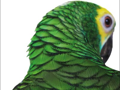 Las mutaciones, una vacuna literaria contra el cáncer