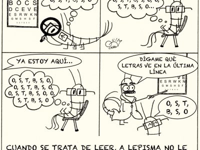 Lepisma y el test de agudeza visual