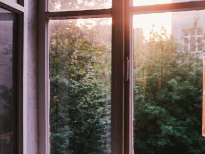 La semana en Zenda, en 10 tuits