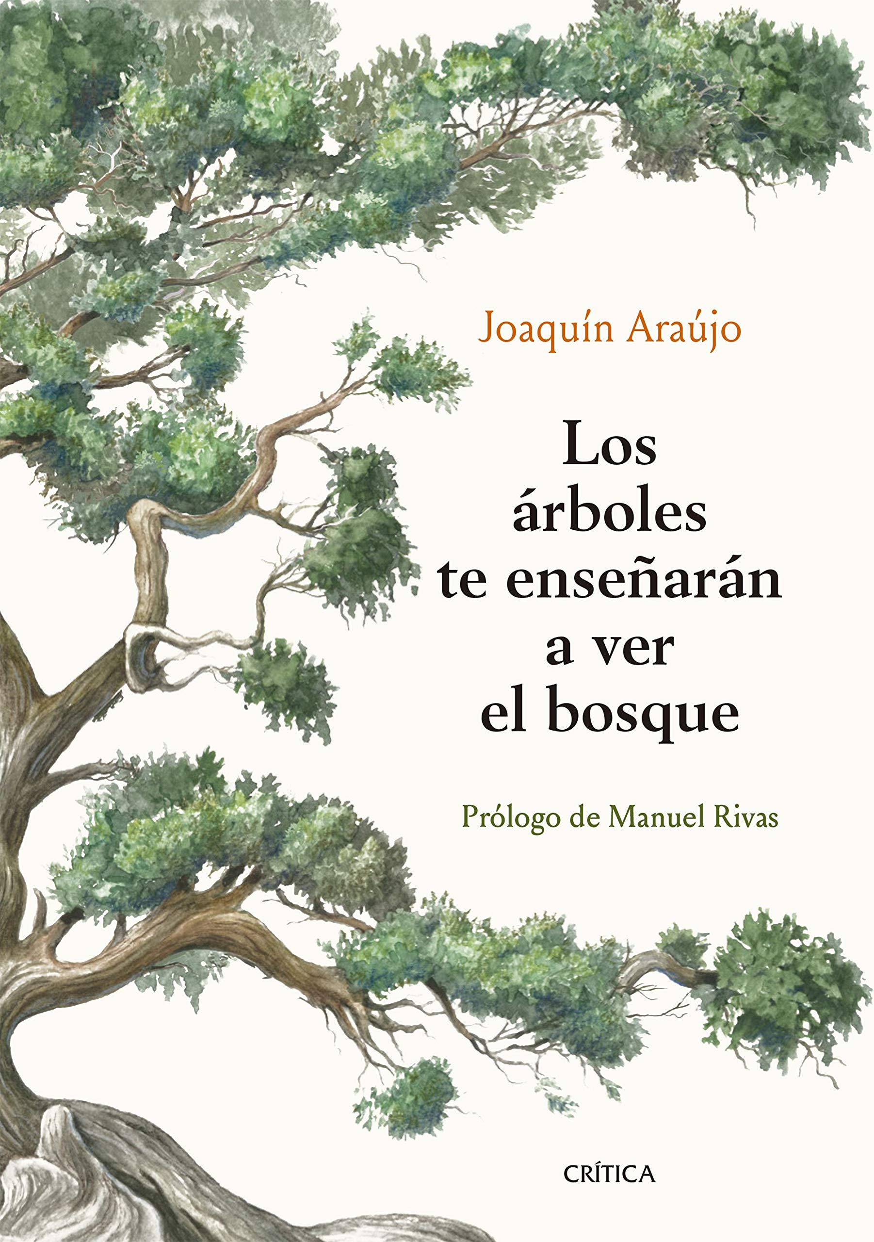 Zenda recomienda: Los árboles te enseñarán a ver el bosque, de Joaquín Araújo