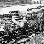 La masacre de Nankín